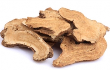 Vị Thuốc Bạch Truật – Vị Thuốc Bổ Tỳ, Kiện Vị Trong Đông Y