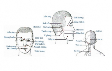 Các huyệt đạo trên mặt