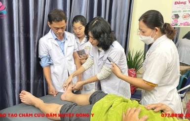 Đông Y Hoa Sen – Chiêu sinh lớp châm cứu bấm huyệt Hoa Sen