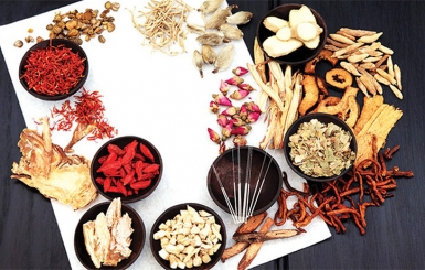 KHÓA HỌC DƯỢC LIỆU ĐÔNG Y