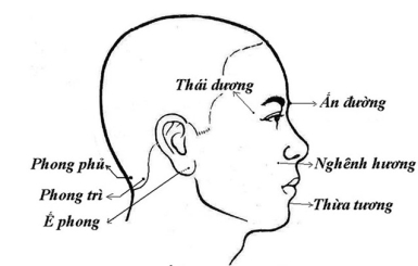 Châm cứu trị viêm xoang có hiệu quả không?