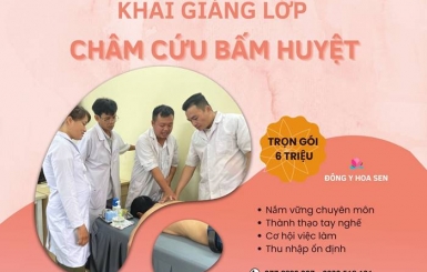 Khóa đào tạo châm cứu bấm huyệt chất lượng cao