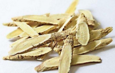 Vị Thuốc Hoàng Kỳ - Vị thuốc bổ khí, cố biểu, sinh cơ trong Đông y