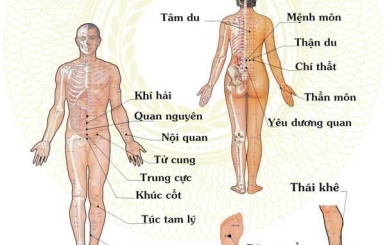 Cách xác định 108 huyệt đạo trên cơ thể người chuẩn xác