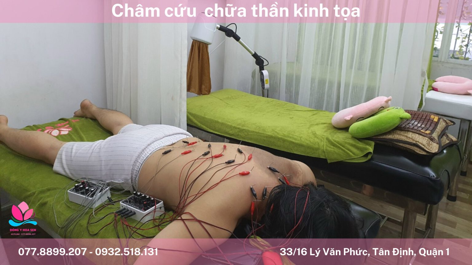 Chữa đau mỏi vai gáy bằng thuốc đông y