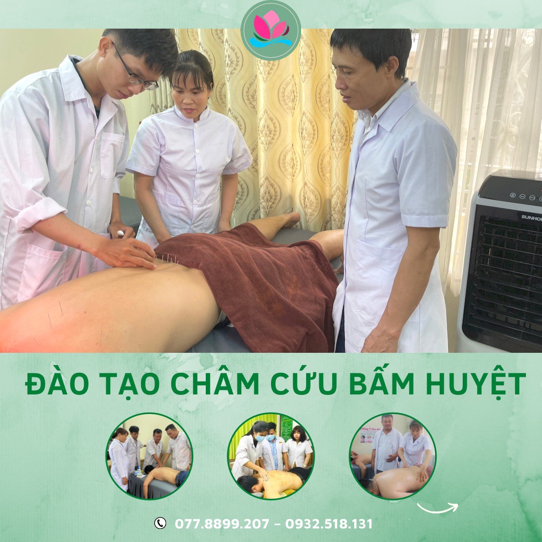 khoá học châm cứu bấm huyệt cấp tốc