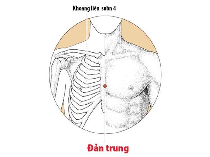 Bấm huyệt chữa ho