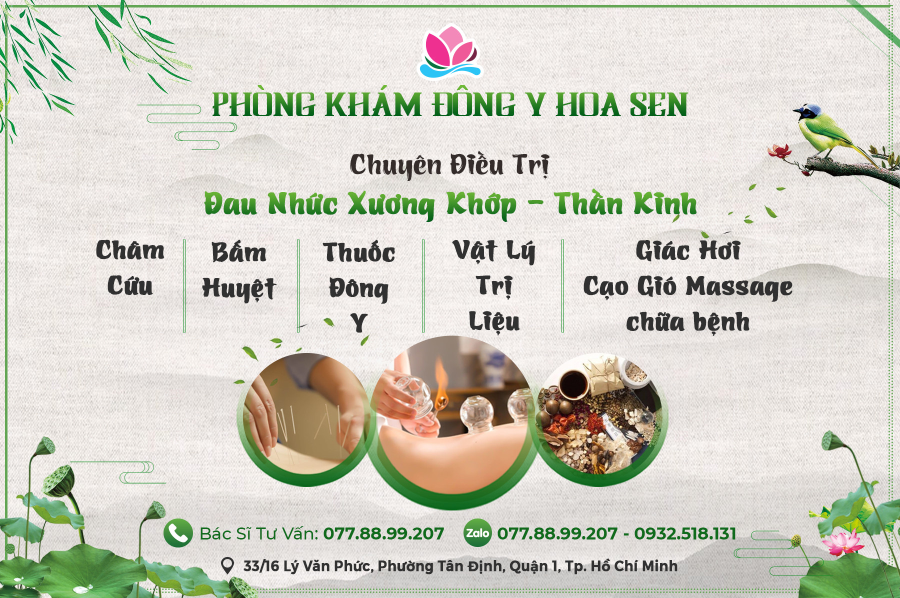 Thuốc Đông y trị thoái hóa cột sống