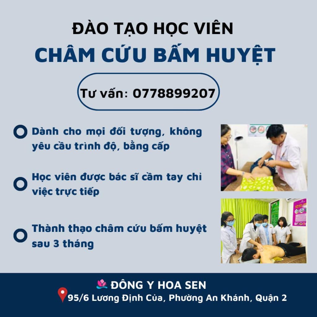 Chứng chỉ Châm Cứu 