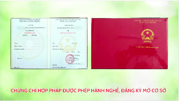 Địa Chỉ Học Chứng Chỉ Xoa Bóp Bấm Huyệt