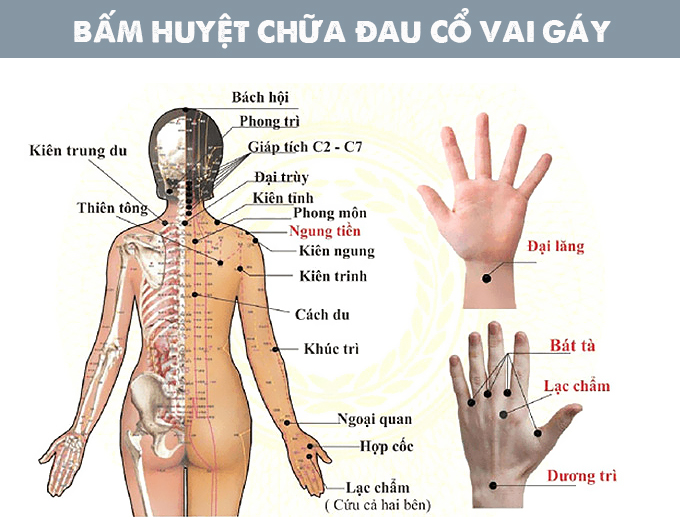 bấm huyệt chữa đau vai gáy