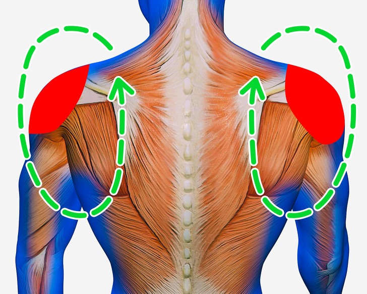Bài tập chữa đau cổ vai gáy đơn giản
