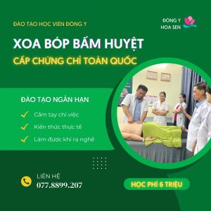 Mở Lớp Đào Tạo Nhân Viên Xoa Bóp Bấm Huyệt