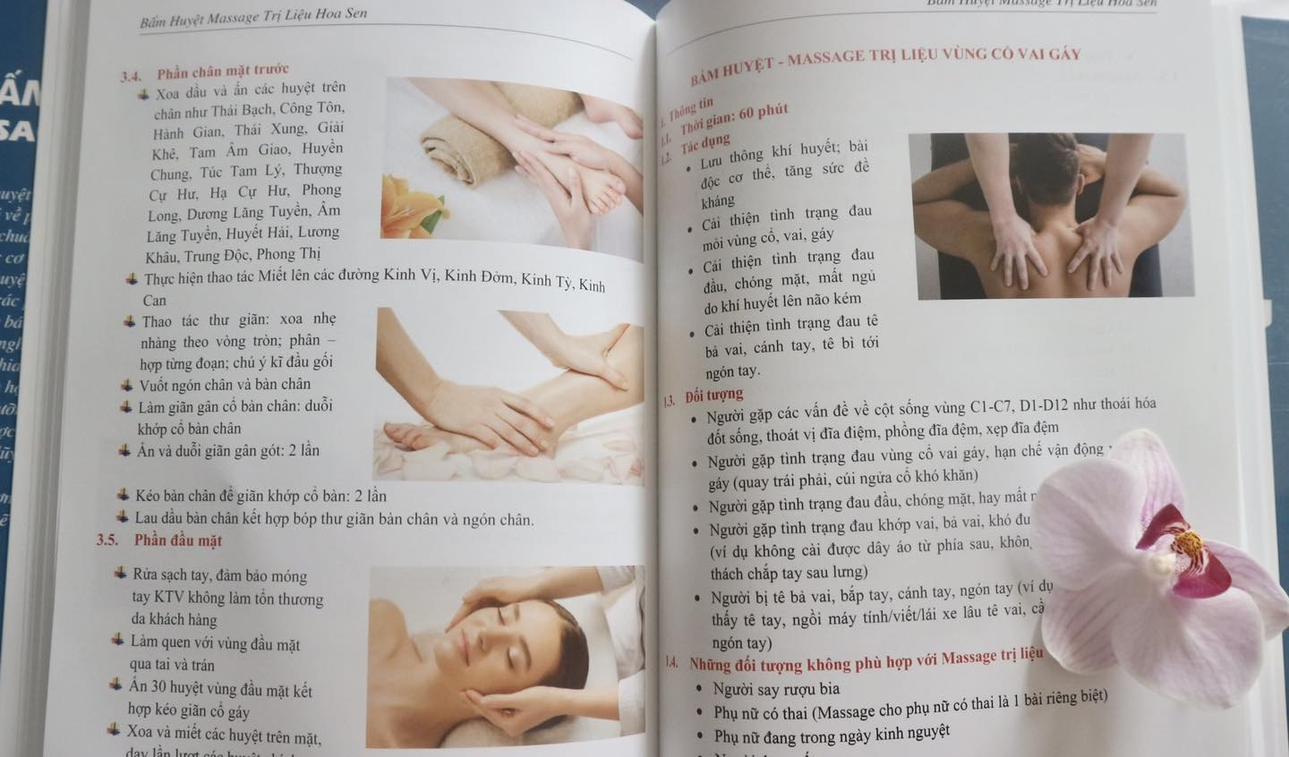sách tổng hợp kiến thức bấm huyệt massage trị liệu
